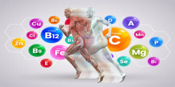 The Effect of Nutrition on Muscles and Connective Tissues