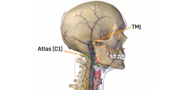 The Relationship Between the Temporomandibular Joint (TMJ) and the Atlas (C1)